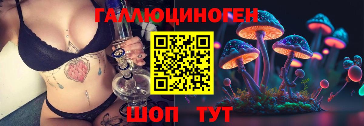 Псилоцибиновые грибы мицелий  Псилоцибиновые грибы Psilocybine cubensis  Одинцово  Вход с VPN 